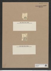 Stephanopyxis var. .... Rlfs. (de-Toni-Nr.: Genus 187, Species 4624) Zeichnungen Sammlung Grunow Nr. 8266 (NHMW-BOT-W0377662)
